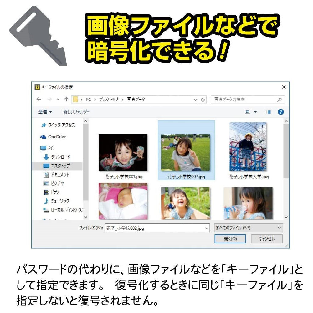 ファイル・データセキュリティ